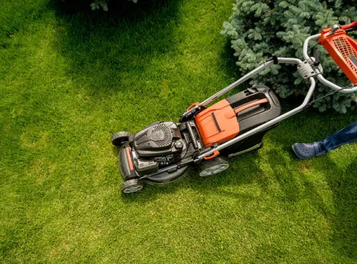 Professional Lawn Mowing Services in Lea Valley, Waltham Abbey & Cheshunt A professional lawnmower cutting grass, creating a neatly trimmed, lush green lawn in Lea Valley.