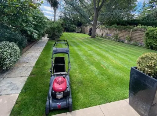 Perfectly Cut Lawn in Lea Valley, Waltham Abbey & Cheshunt | Expert Lawn Care Freshly mowed, lush green lawn in Lea Valley with perfect stripes after professional lawn care service.