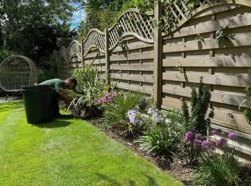 Professional Planting Services in Lea Valley, Waltham Abbey & Cheshunt Freshly planted flower beds with vibrant seasonal plants in Lea Valley, professionally arranged for a lush garden.